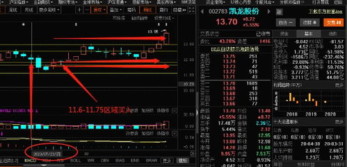 如何查看股票总盈亏