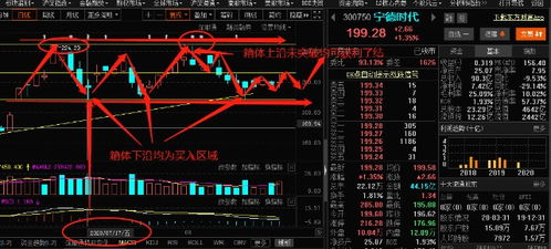 如何查看股票总盈亏