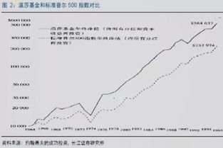 如何寻找被低估的股票