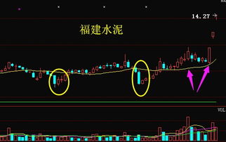 请问福建水泥股票如何