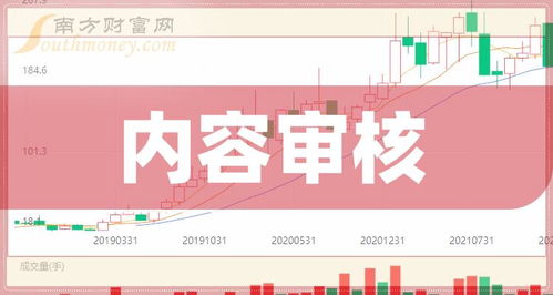 审计后如何检查股票