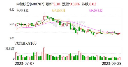 审计后如何检查股票