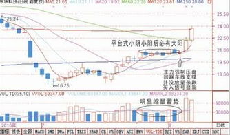 股票如何借鸡生蛋