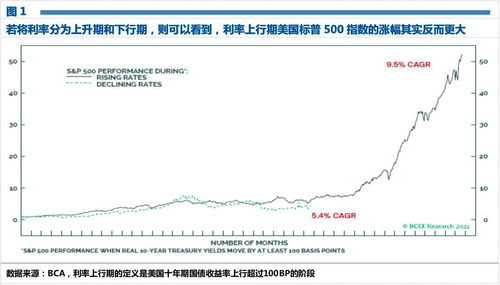 股票利率如何