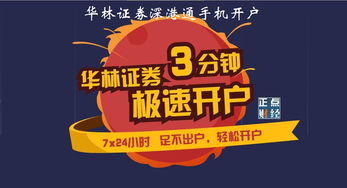 电脑怎么下载华林证券