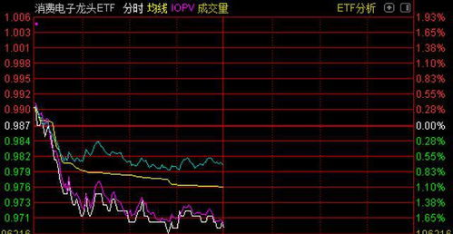 如何看好基金股票