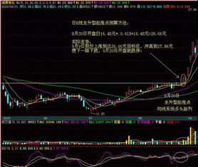 股票上涨如何计算