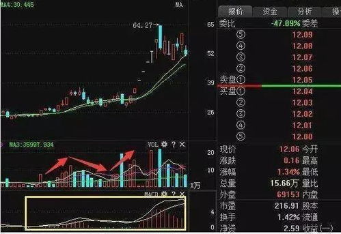 如何做股票短线交易品种