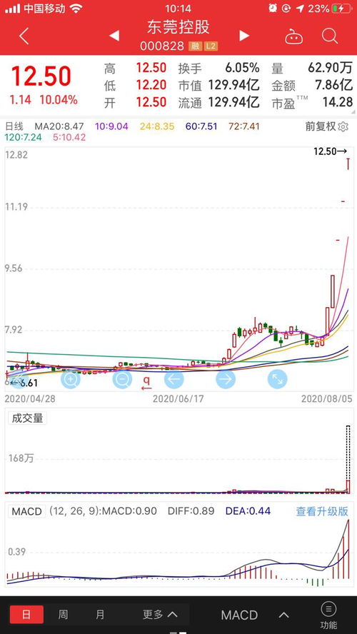 东莞证券怎么炒股