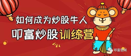 如何进入好的股票网站