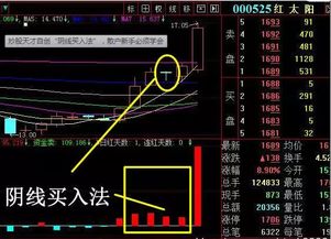 新手散户如何入门买股票