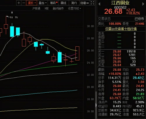江西铜股票如何