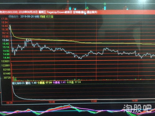 股票如何查历史投入数据