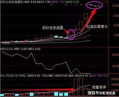 股票主力动态如何