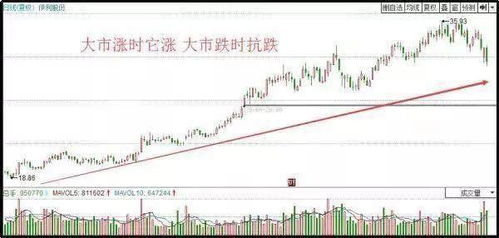 如何选低估的好公司股票