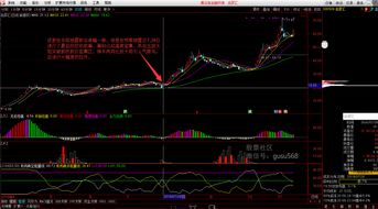 炒股票如何看线