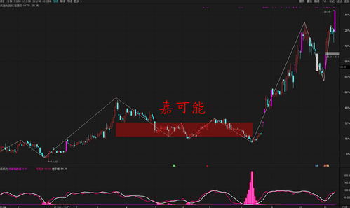 股票级别如何划分 股票级别如何划分