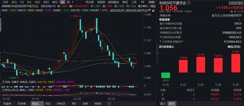 上海证券软件怎么看市值
