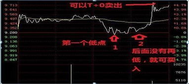 如何看分红的股票有没有
