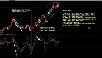 股票新手应该如何选股型
