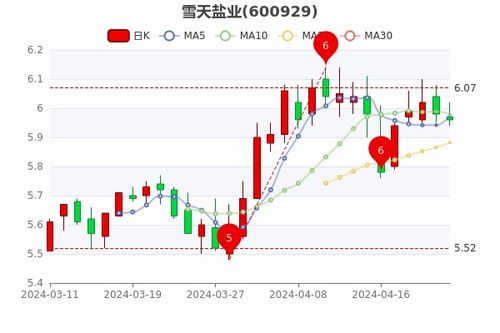 盐业股票如何