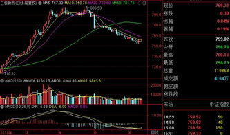 上海证券怎么做股票