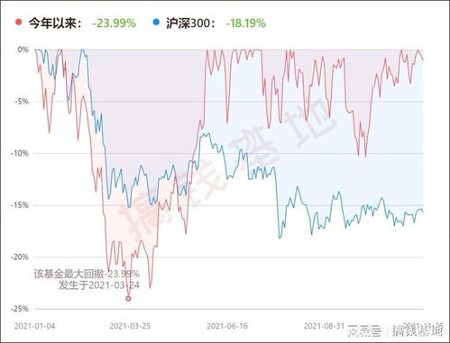 今年股票如何 今年股票如何