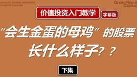 金虫子的股票教学如何