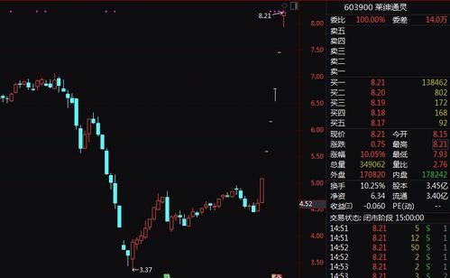 怎么在证券里买入