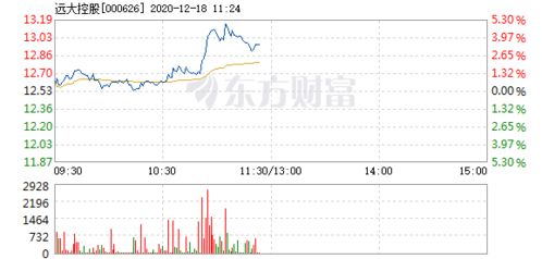 远大控股股票如何 远大控股股票如何