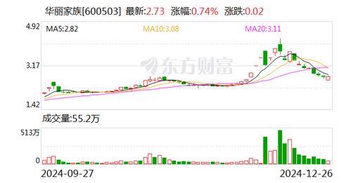 法院如何查个人所持股票