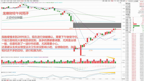 股票如何找定行情