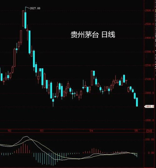 如何度过股票熊市
