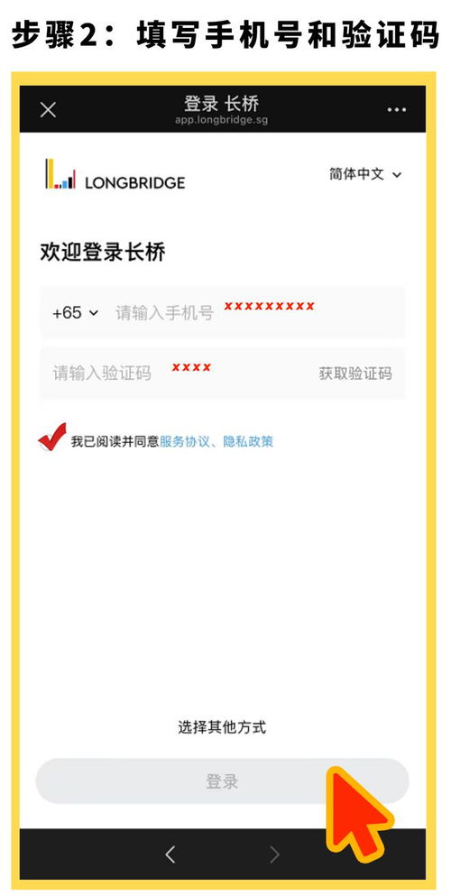 怎么进证券群