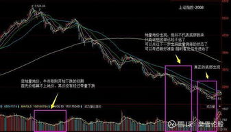 1000如何买股票