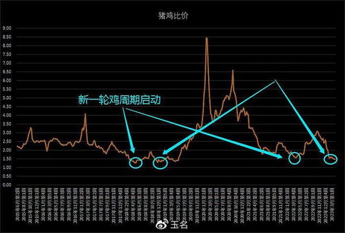 股票博弈法如何分析股票 股票博弈法如何分析股票