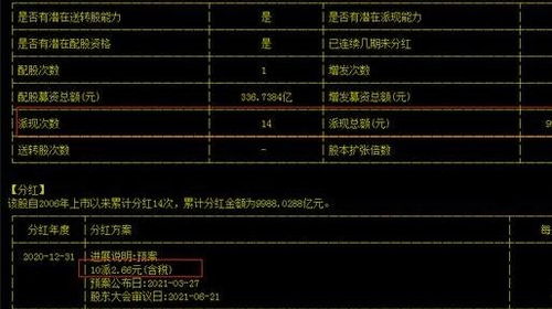 如何查看哪只股票分红高