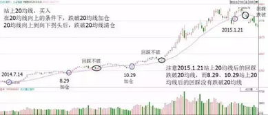 如何管好一个股票市场