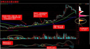 股票如何改平均线图解