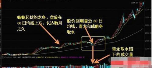 如何选出股票龙头
