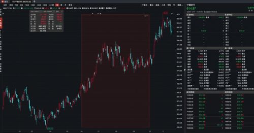 如何看股票是股票基金