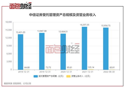 中信证券总收益怎么看到