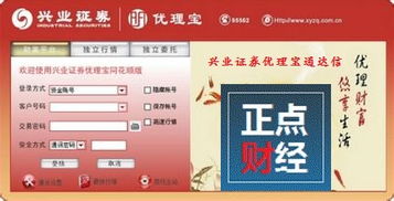 兴业证券怎么查
