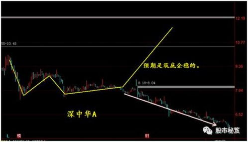 如何请人打理股票