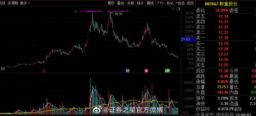 证券公司股票怎么用