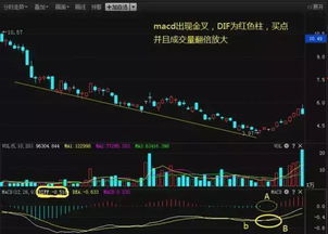 如何买到牛股股票和股票