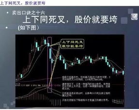 股票如何自救
