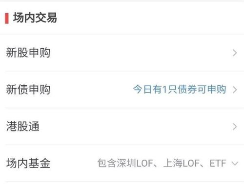 证券中签怎么看 证券中签怎么看