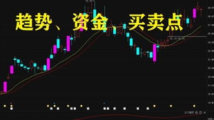 如何从股票里找到主力