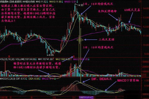 如何培养股票投资 如何培养股票投资